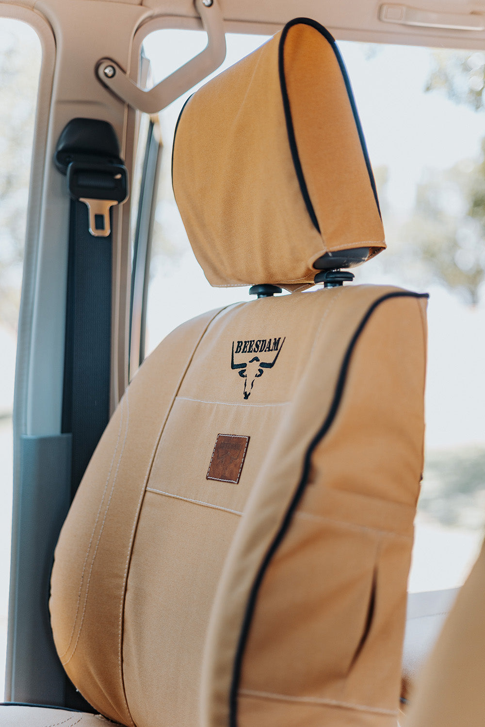 Deluxe Collection - Sand Canvas